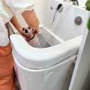 뽀송이네 목욕탕 이미지