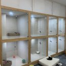 스파보드레 이미지