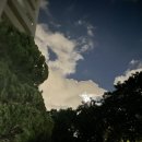 착한밀푀유 이미지