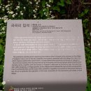 국곡리 고인돌 이미지