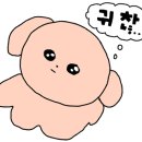닥터유구강악안면외과치과의원 이미지