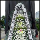 현대꽃집 - 양천구 신목로4길 38 | 현대꽃집