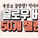 슬로우퍼피 네이버블로그