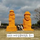 나르는삼남매과일 | 2023 제주감귤박람회 후기 감귤따기 체험