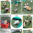 더 예쁘개 이미지