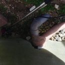 경주세무서-2 이미지