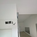 미담참치 이미지