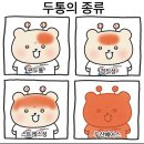 명인세탁소 | ⚾️2025년 두산 직관 결산🐻 ft.잠실야구장 좌석 시야 후기