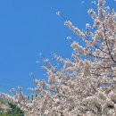 세븐일레븐 새절제일점 | 즉흥 다카마츠 2박 3일 여행 1편