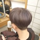 헤어퍼플 이미지