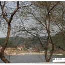 정호민박 이미지