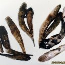 천선식당 이미지