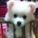 덩어리 이미지