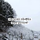 초리꽃펜션 이미지