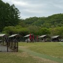 중독(DOG) | 강원도 홍천 애견동반 캠핑장 후기-캠핑중독(캠핑중DOG)