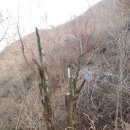 삼단지농장 이미지