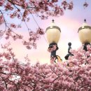 하안주공1단지종합상가 이미지