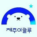 제주이글루 네이버블로그