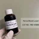 H1899 네이버블로그
