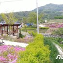 절골천 이미지