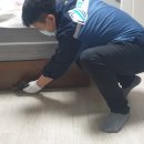 주식회사 미소게 이미지