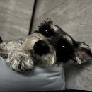 가마산로69가길 이미지