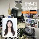 [서울 마곡] 무드룸 스튜디오, 마곡역 증명사진 잘 찍는 곳, 꼼꼼하고 빠른 보정 후기