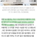 경기 파주서 '아프리카돼지열병' 발생…국내 첫 사례 이미지