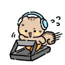 더블에스플라이 이미지