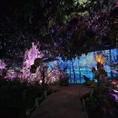 (주)인터미디어파크 | [경북 경주] 경주 실내 데이트 : 정글 미디어파크