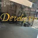 디벨롭헤어