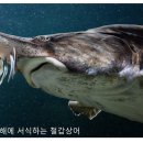 (웹소설) : 카스피 해전 3 - 러시아 영해 이미지