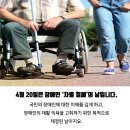 태권도 오송 정도장 이미지