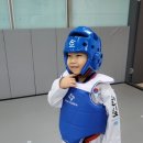 국가대표 한빛태권도 이미지