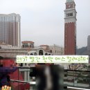 The51 | [마카오]마카오 베네시안 호텔 포토스폿/내부/스위트룸숙박후기(The Venetian Macao)