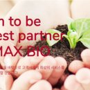 코스맥스(주) 티스토리