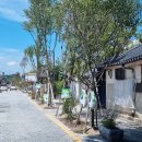 전주동신초등학교 이미지