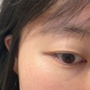 일본직구백엔샵 일본직구사이트 캔메이크 파우더 구매 후기