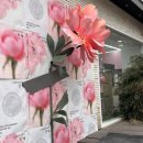 아이소이 로즈 성수 팝업스토어 방문 후기 | 착한 화장품의 모든 것 faet 장미세럼