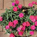 스프링카운티 자이아파트 이미지