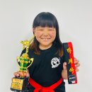 블랙벨트 한빛 태권도장 이미지