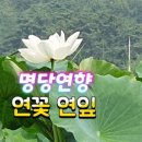 연향농장 이미지