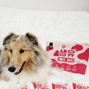 마치 | 마이베프 생유 베리마치 체험단 후기 ❤️