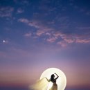 Fly Me to the Moon 이미지