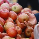 보일농수산 이미지