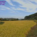 이반성면-7 네이버블로그