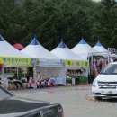 금천초문명분교 | 청도 운문산 송이 능이 표고버섯 축제 / 다녀온 솔직한 후기