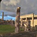 남부로 | 이탈리아 로마 남부투어 여행 당일치기 패키지 포지타노 아말피 후기