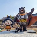 위바 네이버블로그