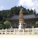 대  산 이미지